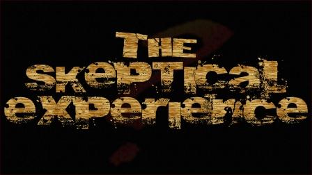 The Skeptical Experience