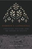 Darwin’s Cathedral: Evolution, Religion, and the Nature of Society