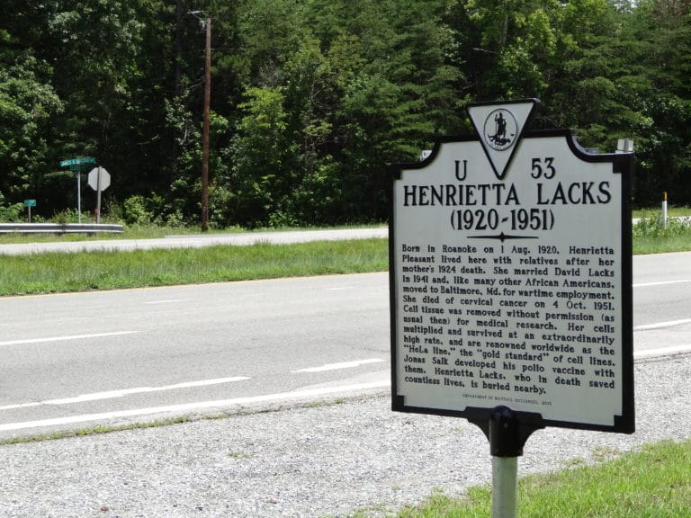 The Death and Immortal Life of Henrietta Lacks