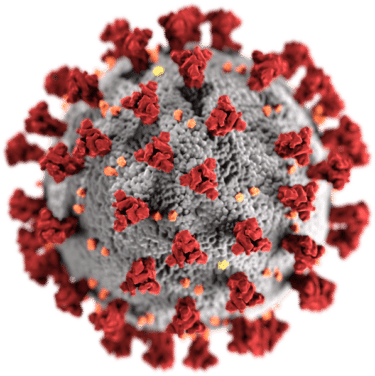 This illustration, created at the Centers for Disease Control and Prevention (CDC), reveals ultrastructural morphology exhibited by coronaviruses. Note the spikes that adorn the outer surface of the virus, which impart the look of a corona surrounding the virion, when viewed electron microscopically.