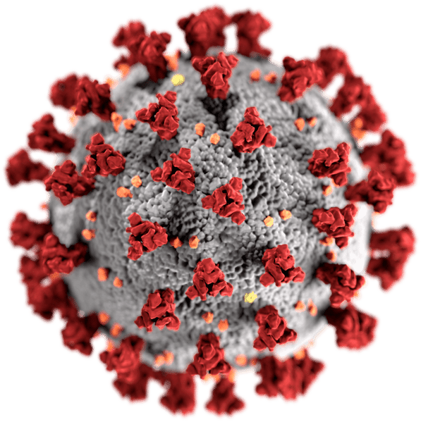 Hydroxychloroquine: when bad science goes mainstream