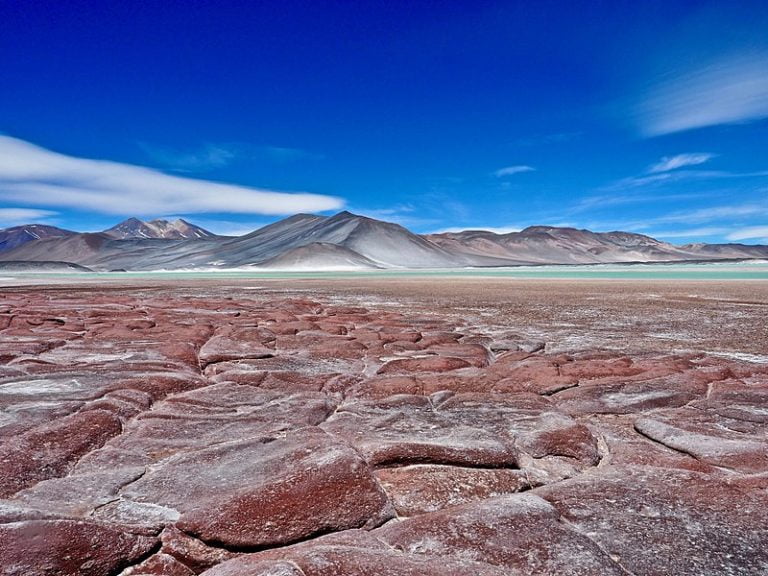 The Atacama mummy: putting together the pieces of an “Archaeology bombshell”