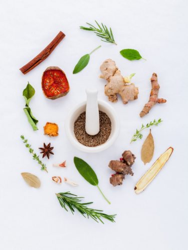 A pestle and mortar surrounded by various herbs and plants including ginger and rosemary, star anise and cinnamon on a white background.