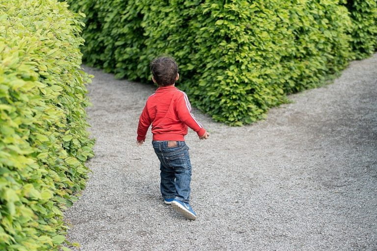 Are you skeptical about free will? Prove it!