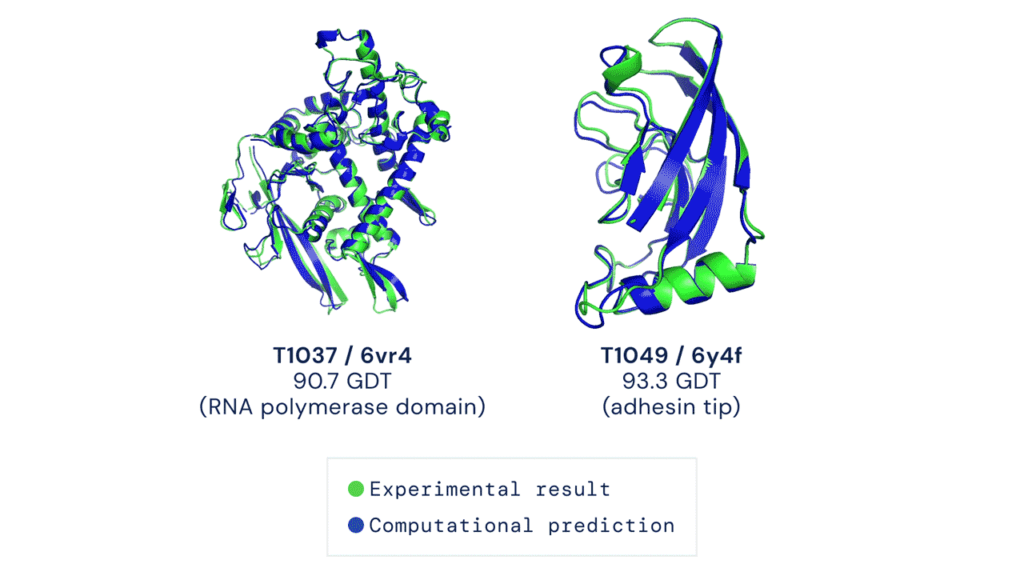 Protein structures of parts of the RNA polymerase and adhesin proteins from DeepMind: https://lh3.googleusercontent.com/J5RC0j1DeUWaNc5h6nGwJwsQSLUuTXINP6we2ymLJ_WUg9bH-hvfvI8WVFeghN-_YR69MryNK5O2rFcVNwz9PZePpBtLdwdshCGzLdM=w1440-rw-v1