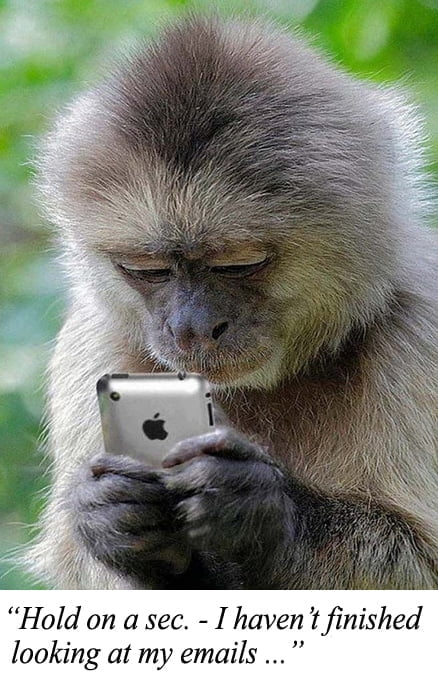 A monkey holding an iphone with the caption "Hold on a sec. - I haven't finished looking at my emails ..."