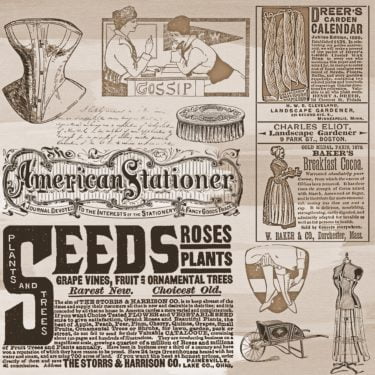 A vintage style newspaper with adverts for things like rose seeds and breakfast cocoa.