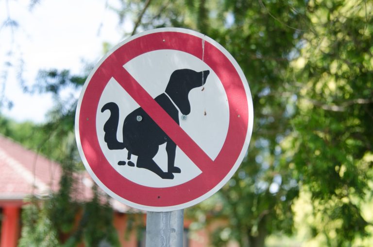 Fecomagnetism: how Spanish alternative therapists promoted our hoax faeces-based cure-all