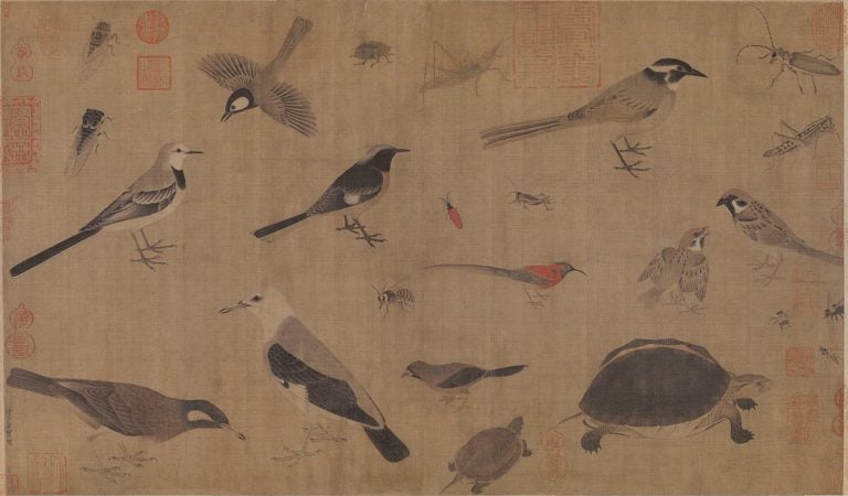 Species, Individual, Gender – biology and taxonomy don’t deal in black and white