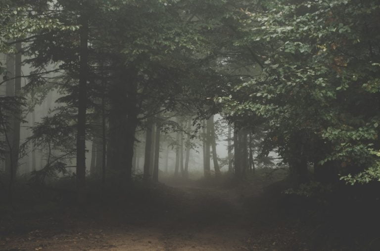 If you should go at midnight: legends and legend tripping in America