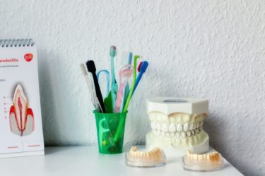 A shelf in a dental office with models of teeth and a selection of toothbrushes