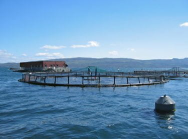 John Allan / Salmon farm in Portree Bay / CC BY-SA 2.0