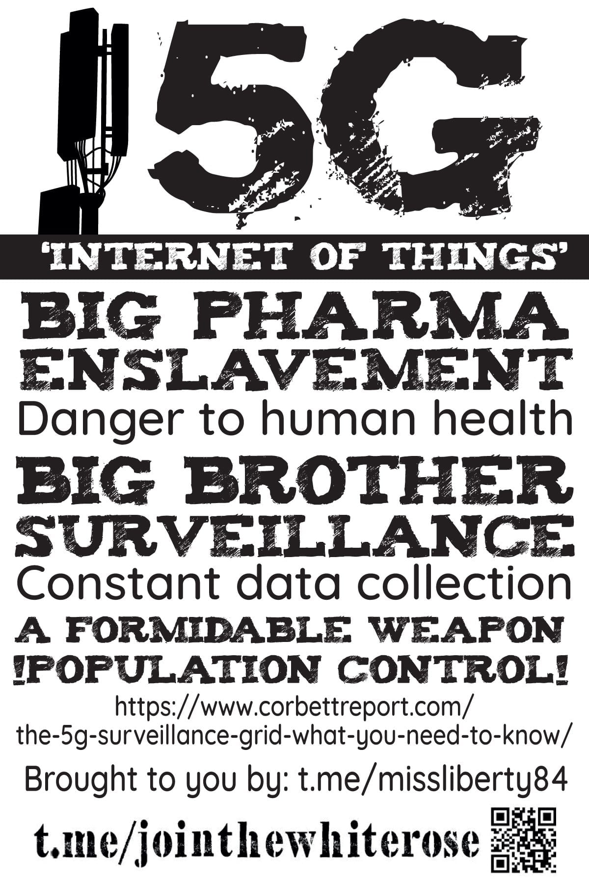 "5G; Internet of things; big pharma; enslavement; danger to human health; big brother surveillance; constant data collection; a formidable weapon; !population control!" - black text on a white background