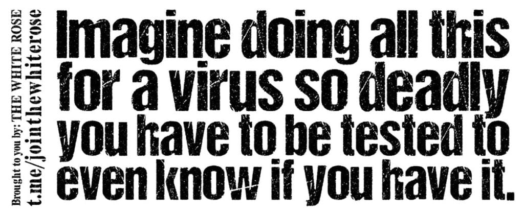"Imagine doing all this for a virus so deadly you have to be tested to even know if you have it" - black text on a white background