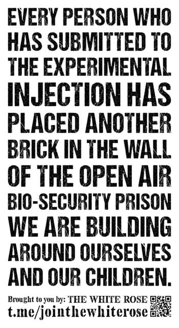 "Every person who has submitted to the experimental injection has placed another brick in the wall of the open air bio-security prison we are building around ourselves and our children" - black text on a white background