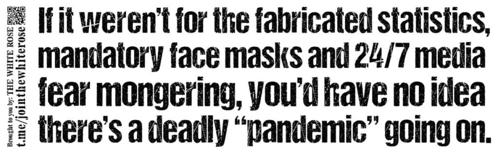 "If it weren't for the fabricated statistics, mandatory face masks and 24/7 media fear mongering, you'd have no idea there's a deadly "pandemic" going on" - black text on a white background