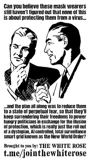 Line drawing of two men in suits talking to each other, one with hand on chin as if in thought: "Can you believe these mask wearers still haven't figured out that none of this is about protecting them from a virus and the plan all along was to reduce them to a state of perpetual fear, so that they'll keep surrendering their freedoms to power hungry politicians in exchange for the illusion of protection, which is really just the roll out of dystopian, AI controlled, total surveillance smart grid known as the New World Order?" - black text on a white background