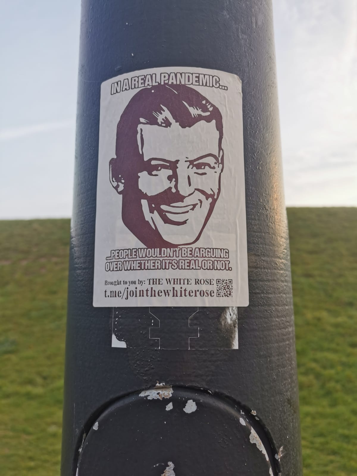 Sticker on a lamppost: line drawing of a smiling man “In a real pandemic…people wouldn’t be arguing over whether it’s real or not” – white text with a black outline on a white background.