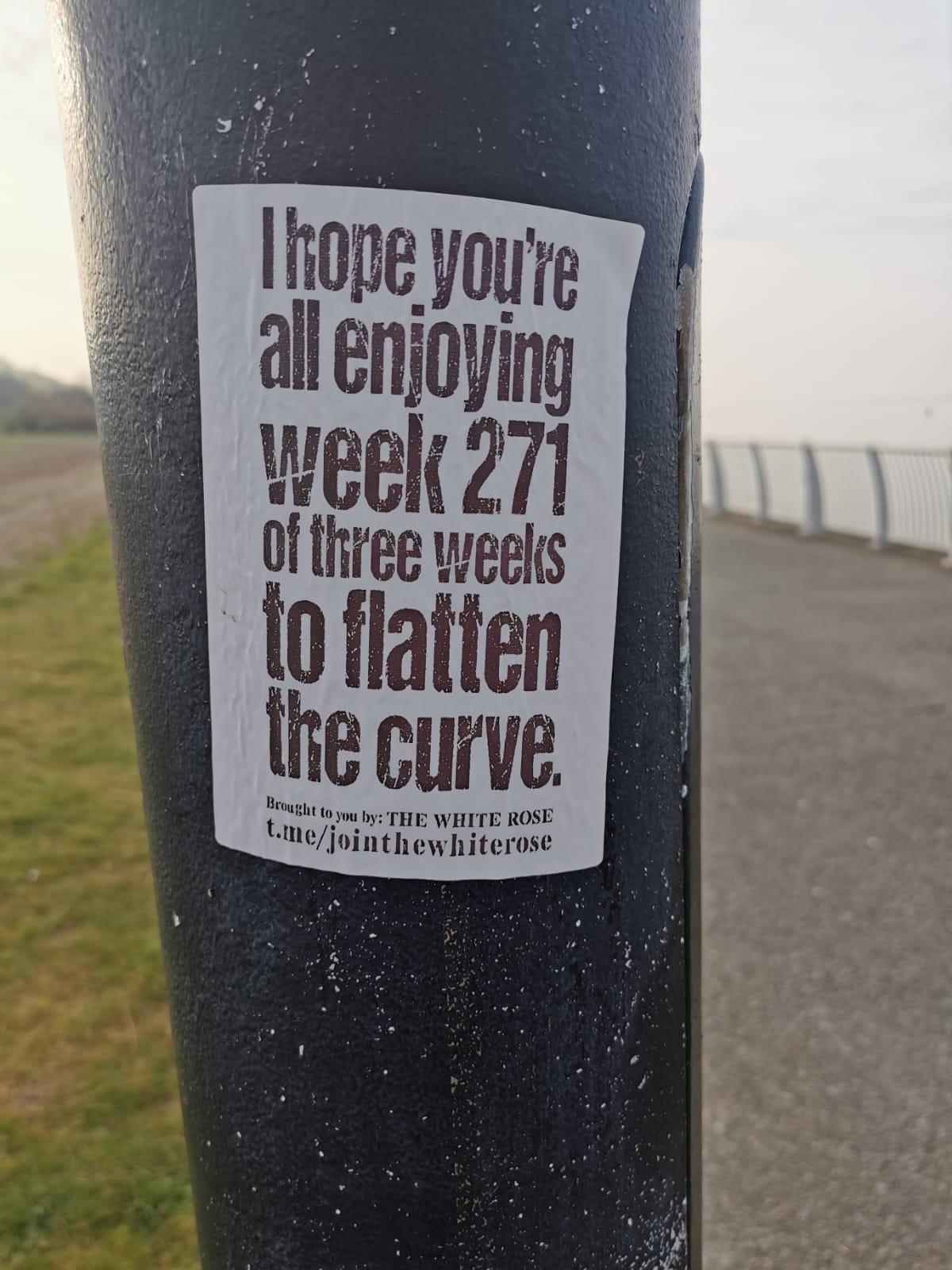 Sticker on a lamppost: “I hope you’re enjoying week 271 of three weeks to flatten the curve” - black text on a white background