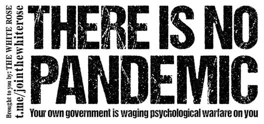 "There is no pandemic: Your own government is waging psychological warfare on you" - black text on a white background