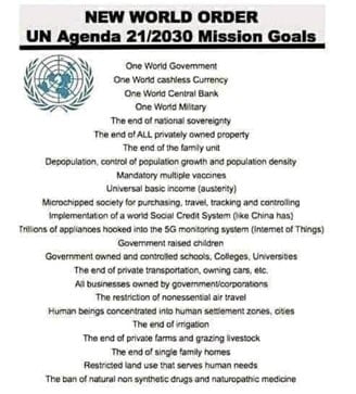 The meme is headed "NEW WORLD ORDER UN Agenda 21/2030 Mission Goals"
Beneath the heading is the UN logo and a list which includes things like "One World Government", "One World Military", "The end of ALL privately owned property" "Mandatory multiple vaccines" "Universal basic income (austerity)", "Government raised children", "The end of single family homes"