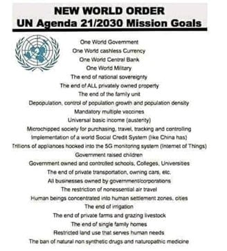 The meme is headed "NEW WORLD ORDER UN Agenda 21/2030 Mission Goals"

Beneath the heading is the UN logo and a list which includes things like "One World Government", "One World Military", "The end of ALL privately owned property" "Mandatory multiple vaccines" "Universal basic income (austerity)", "Government raised children", "The end of single family homes"