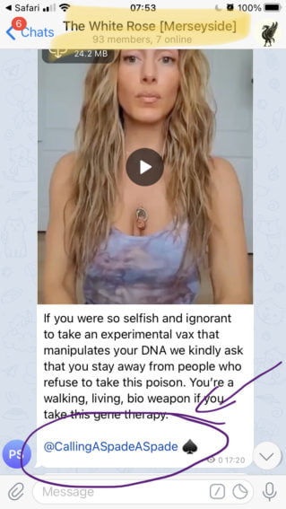 A message in "The White Rose [Merseyside]" (93 members, 7 online). Message shows a video of a blonde lady, with the caption: "If you were so selfish and ignorant to take an experimental vax that manipulates your DNA we kindly ask that you stay away from people who refuse to take this poison. You're a walking, living bio weapon if you take this gene therapy."

The messaged tags and links to the channel "@CallingASpadeASpade"