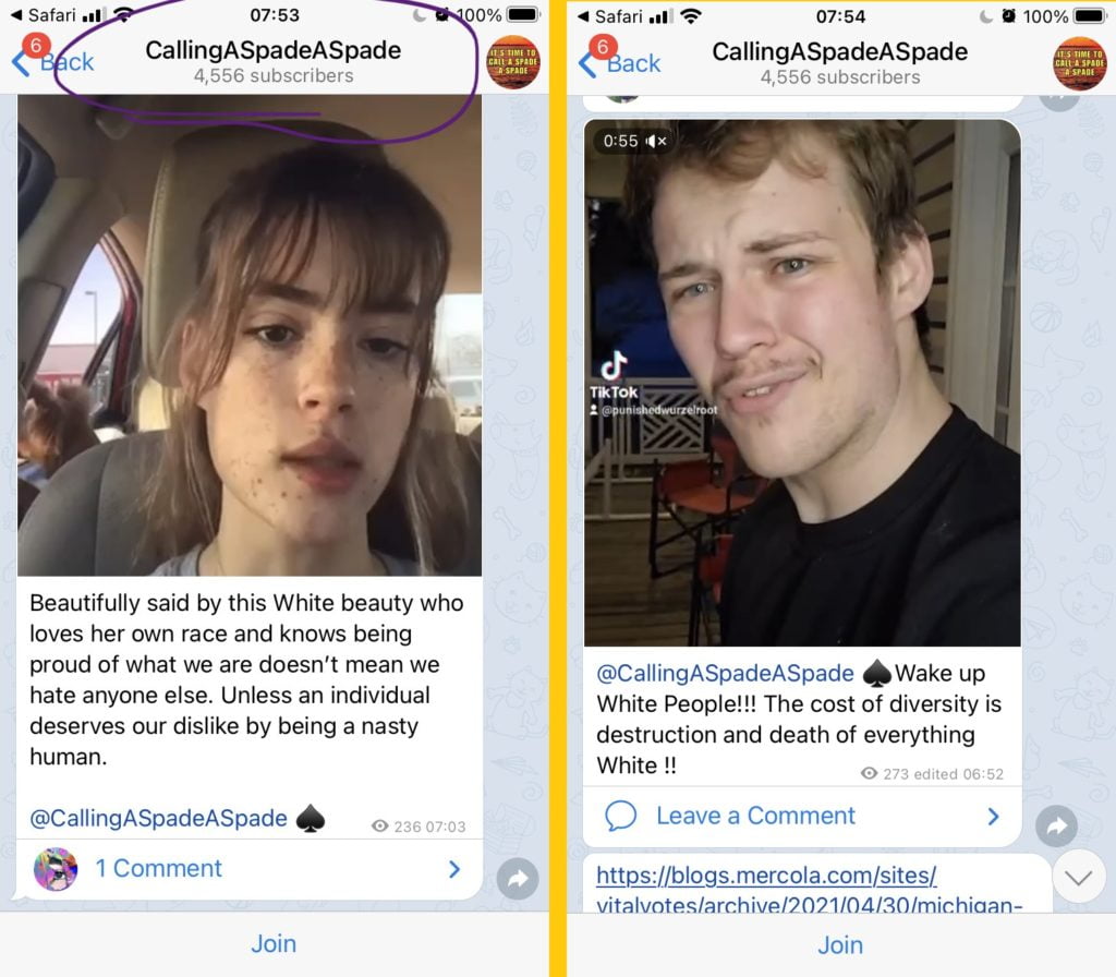 Two messages in "CallingASpadeASpade" (4556 members. 

The first message shows a video of a lady, with the caption: "Beautifully said by this White beauty who loves her own race and knows being proud of what we are doesn't mean we hate anyone else. Unless an individual deserves our dislike by being a nasty human."

The message tags and links to the channel "@CallingASpadeASpade"

The second message shows a video of a man, with the caption "@CallingASpadeASpade Wake up White People!! The cost of diversity is destruction and death of everything White!!"