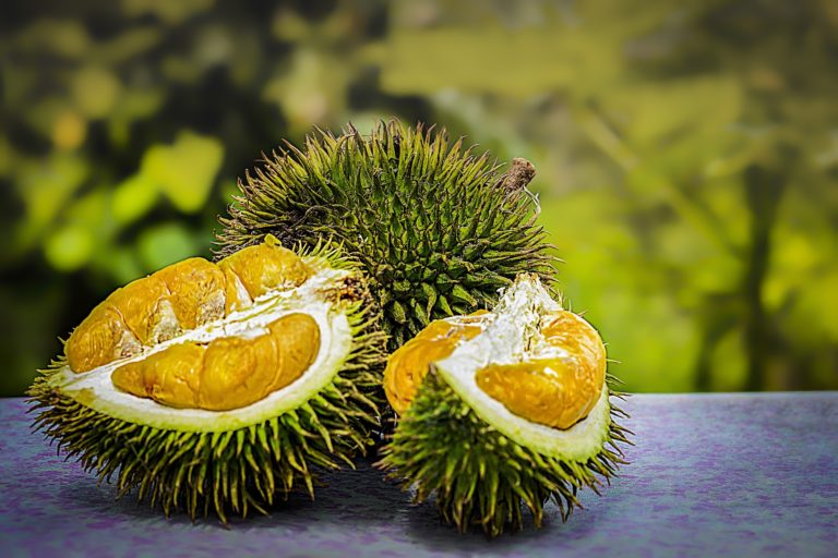 Durian fruit myths: the many tall tales associated with the “King of Fruits”