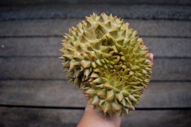 A person holding a large spiky green fruit