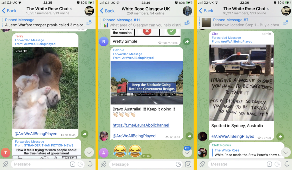 Three messages in "The White Rose" and "White Rose Glasgow UK"
The first message shows a video of a puppy snuggling with a cow, and is forwarded from the AreWeBeingPlayed channel, and is captioned with the channel link.
The second message shows an image of a truck across a motorway, and is forwarded from the AreWeBeingPlayed channel, and is captioned "Bravo Australia!!!!! Keep it going!!! <four clapping hand emojis>" along with with the channel link to AreWeBeingPlayed.
The third message shows an image of a poster next to a police car, the poster reads "Imagine a vaccine so safe you have to be threatened to take it, for a disease so deadly you have to be tested to show you have it". It is forwarded from the AreWeBeingPlayed channel, and is captioned "Spotted in Sydney Australia", along with the channel link to AreWeBeingPlayed.