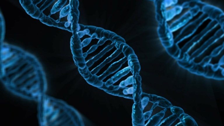 “It’s in our DNA”: the clichés that confuse the public about genetics and essentialism
