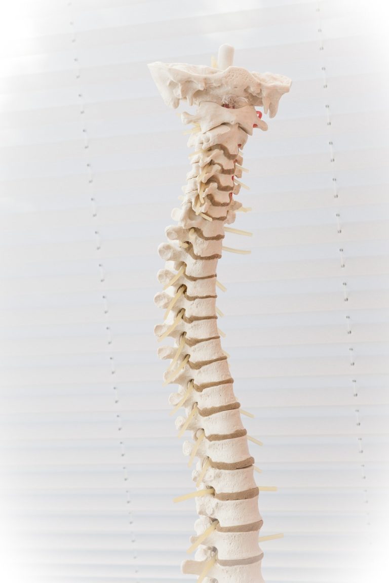 The death of John Lawler raises serious questions about the regulation of chiropractors