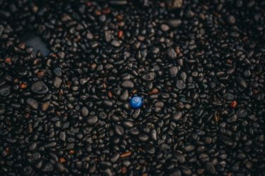 A single blue shell amongst black and brown pebbles