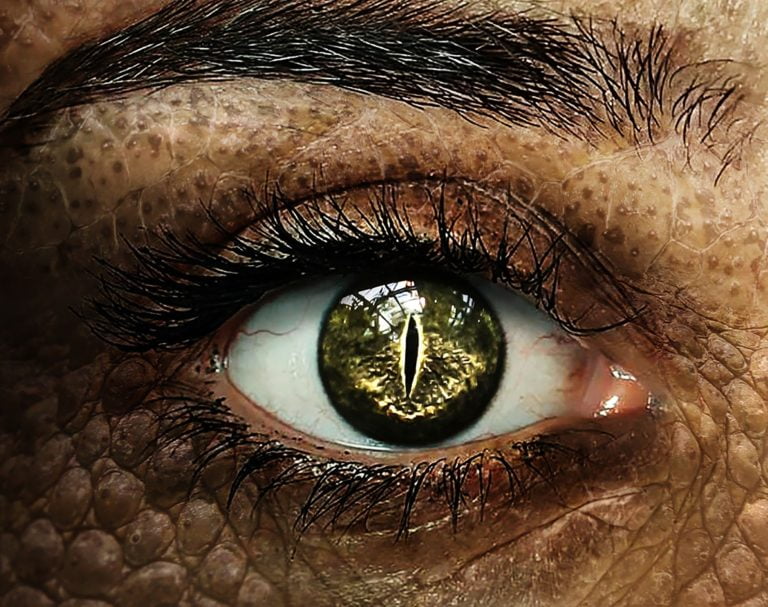 The Lacerta Files and its reptilian hybrids show the persistence of appealing myths