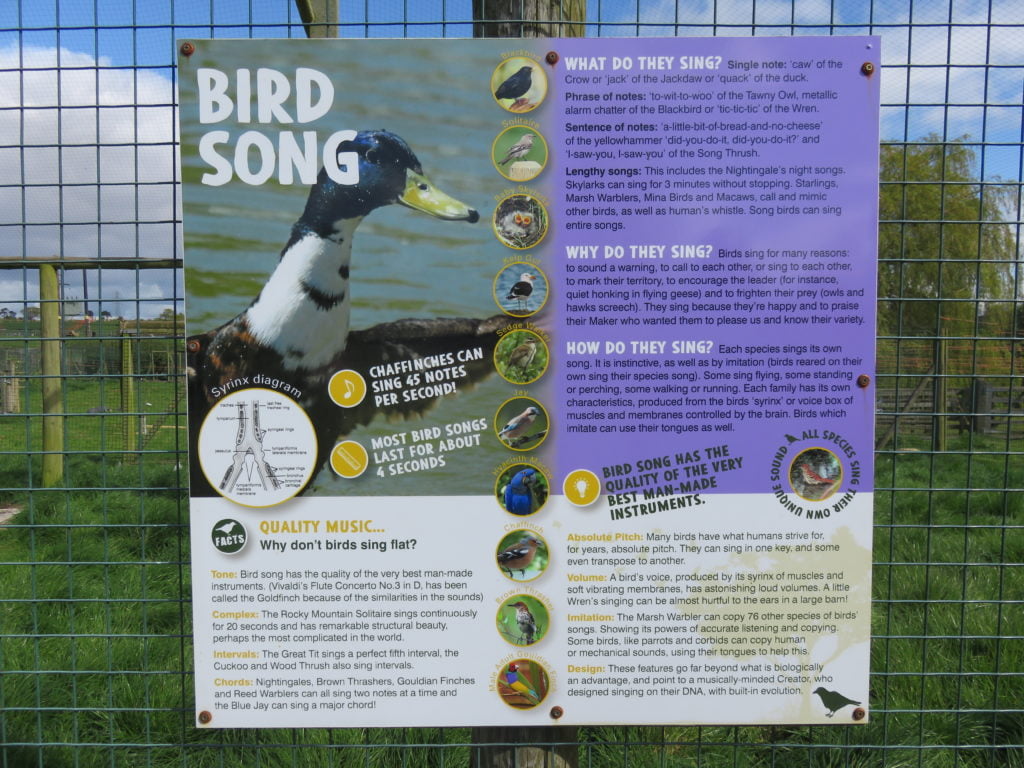 A poster discussing bird song. It asks and answers various questions including “Why don’t birds sing flat?”, “What do they sing?”, “Why do they sing?” and “How do they sing?”. It ends with a short section on design which states,
Design: These features go far beyond what is biologically an advantage, and to a musically-minded Creator, who designed singing on their DNA, with built-in evolution.