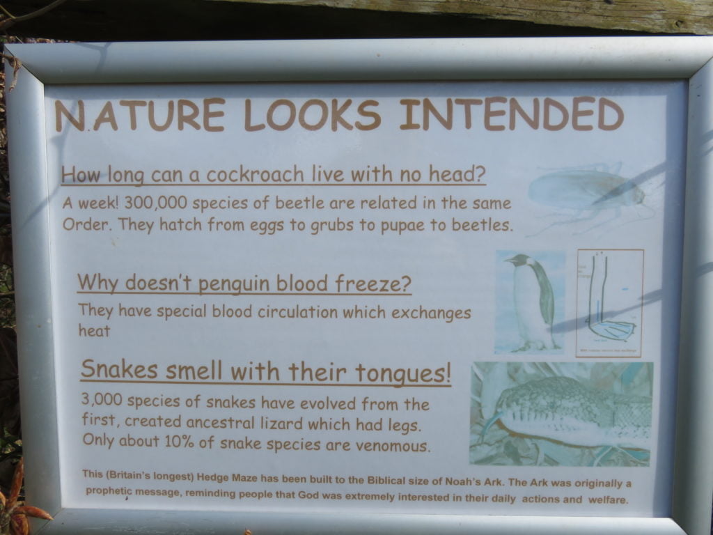 A faded sign on the hedge maze titled “Nature Looks Intended”. It reads:

How long can a cockroach live with no head?
A week! 300,000 species of beetle are related in the same Order. They hatch from eggs to grubs to pupae to beetles.

Why doesn’t penguin blood freeze?
They have special blood circulation which exchanges heat

Snakes smell with their tongues!
3,000 species of snakes have evolved from the first, created ancestral lizard which had legs. Only about 10% of snake species are venomous.

This (Britain’s longest) Hedge Maze has been built to the Biblical size of Noah’s Ark. The Ark was originally a prophetic message, reminding people that God was extremely interested in their daily actions and welfare.