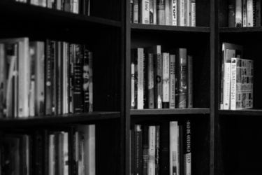 Books on a bookcase