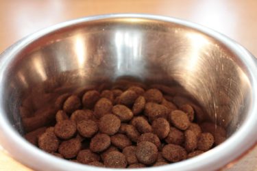 A bowl of dry dog biscuits