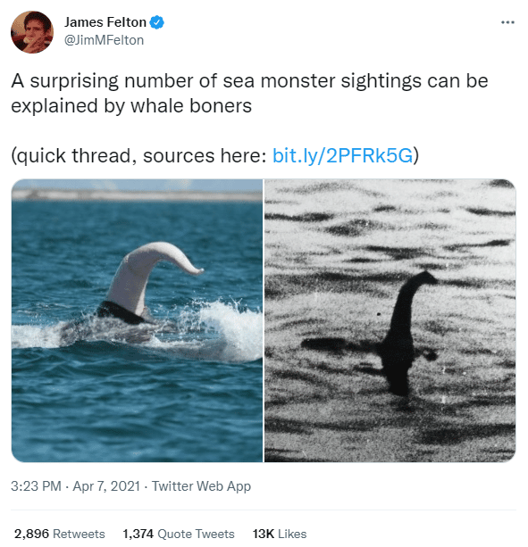 Tweet by James Felton which reads "A surprising number of sea monster sightings can be explained by whale boners (quick thread, sources here: bit.lu/2PFRk5G)" with two photos attached -- one of a wale penis raised out of the sea and another an old, grainy alleged loch ness monster photo.