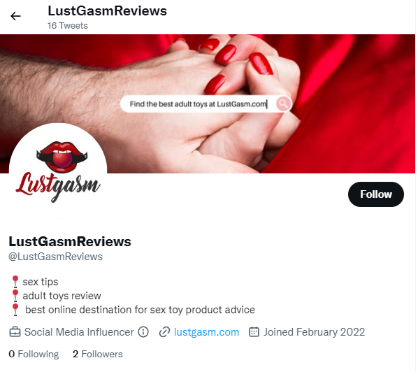 The LustGasmReviews Twitter profile showing 2 followers 