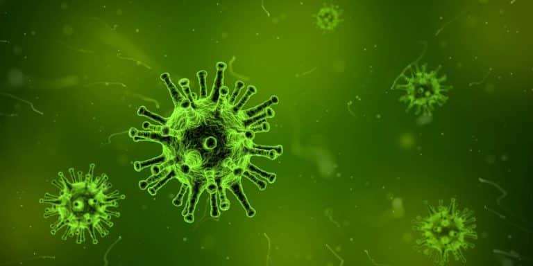 Comparing misinformation to a virus is neither accurate nor useful in preventing its spread