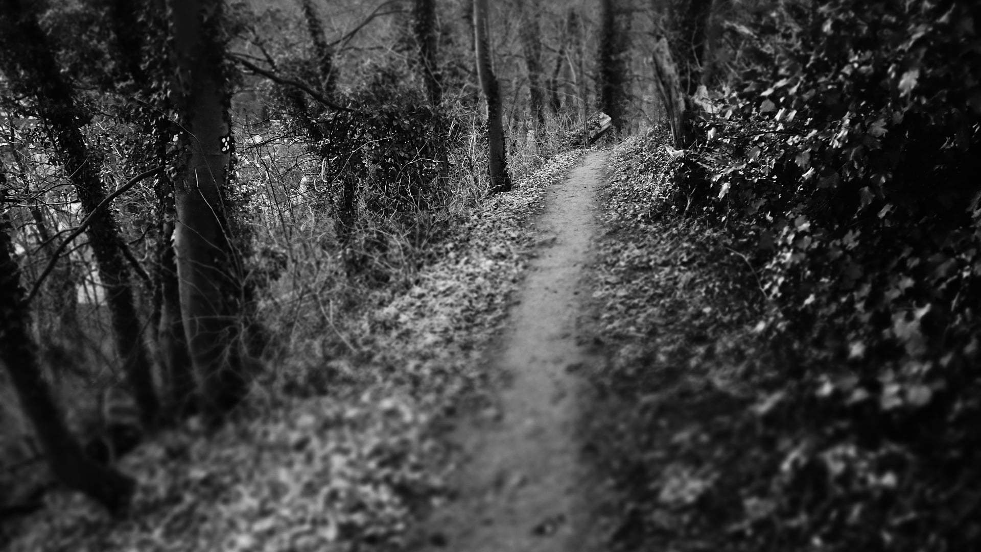 From the archive: Forgive us our trespassers - Rendlesham and diplomacy - Vimarsana News