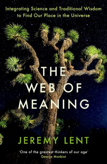 The cover of The Web of Meaning by Jeremy Lent. There is a tree on the cover with a starlit night sky in the background. 