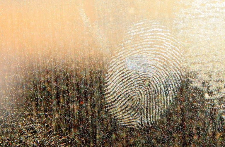 Fictional impressions: the shaky foundations of many common forensic science techniques