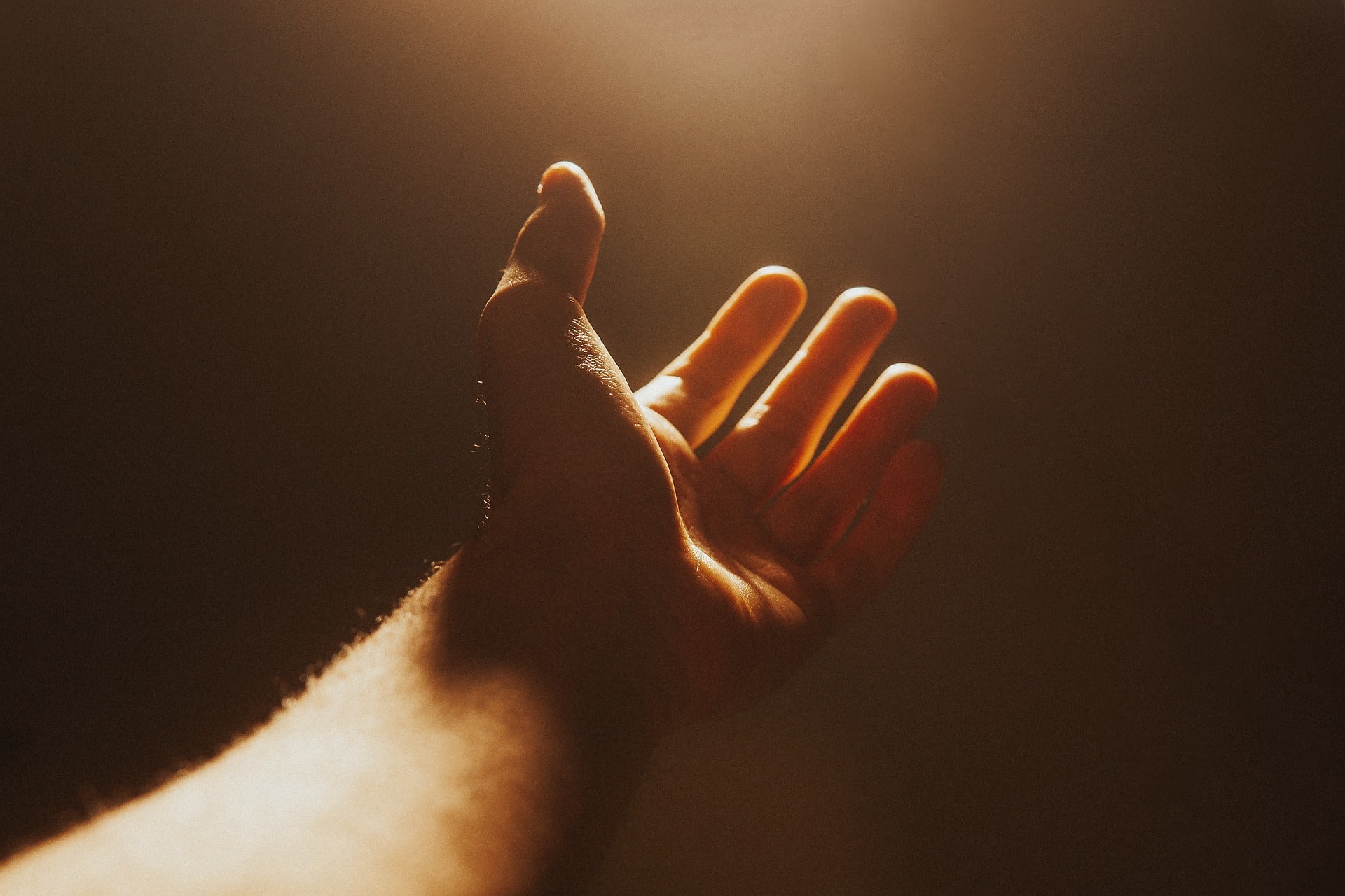 From Patmos to Waco: the impact of apocalyptic religious beliefs - Vimarsana News