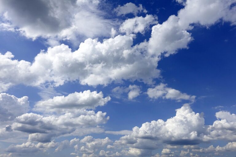 Hit them in the feels: confirmation bias and the emotional component of reason