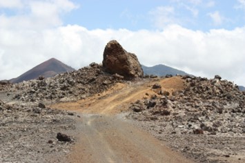 An unsealed road between Georgetown and Comfortless Cove - the landscape is sandy in colour and very rocky and uneven