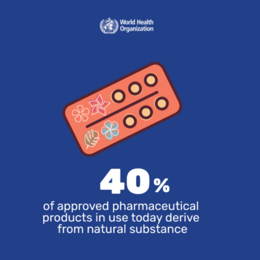 Blue graphic with a drawing of a pill blister packet with some of the blisters replaced with flowers/leaves. The text, in white, reads "40% of approved pharmaceutical products in use today derive from natural substance"