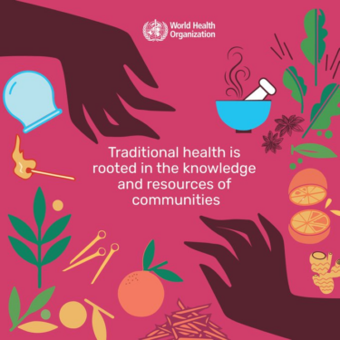 A graphic with a pink graphic and a pair of hands over the top with drawings of leaves and fruit. The text reads "traditional health is rooted in the knowledge and resources of communities"